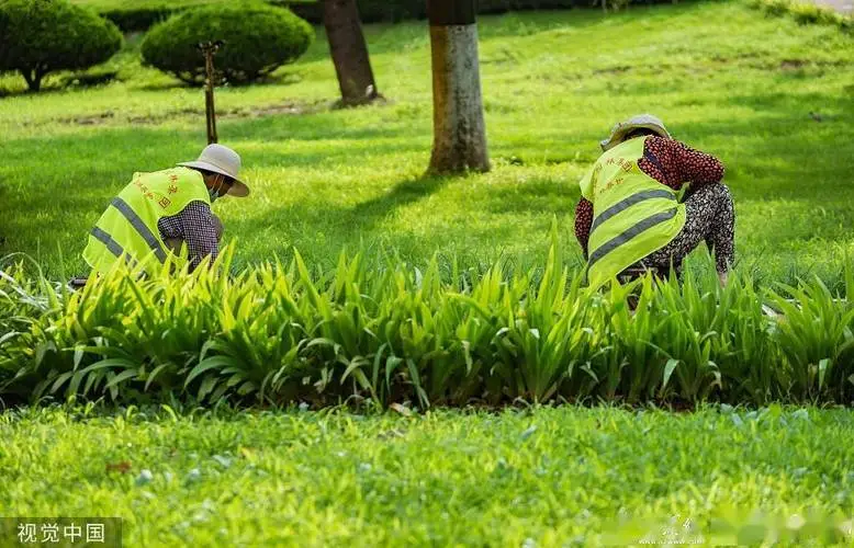 土建绿化工程预算定额