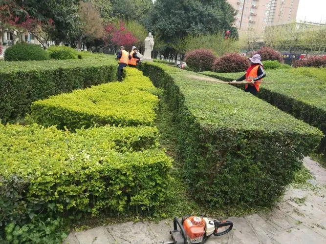 土建占绿化工程比例